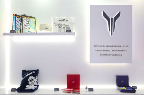 嵐圖free首次亮相,智能大屏炫酷全場 2021上海車展