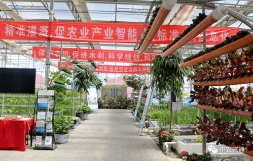 加快工廠化循環(huán)水養(yǎng)殖裝備技術(shù)創(chuàng)新，助推水產(chǎn)養(yǎng)殖綠色高效發(fā)展