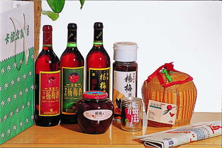 海通食品集團股份圖冊盛都